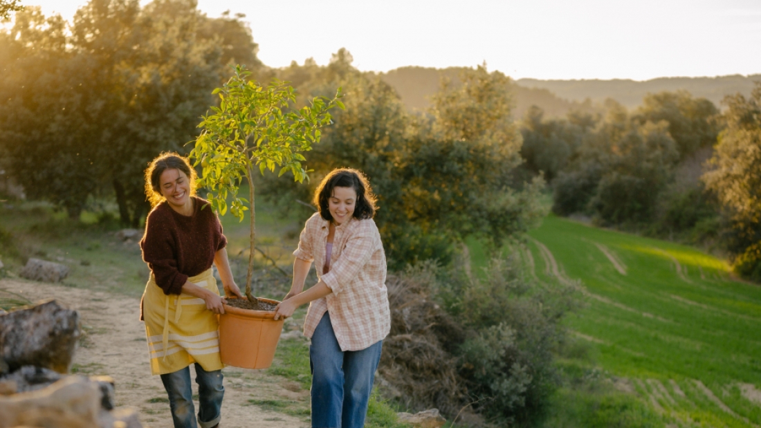 Fotografia a cores do filme