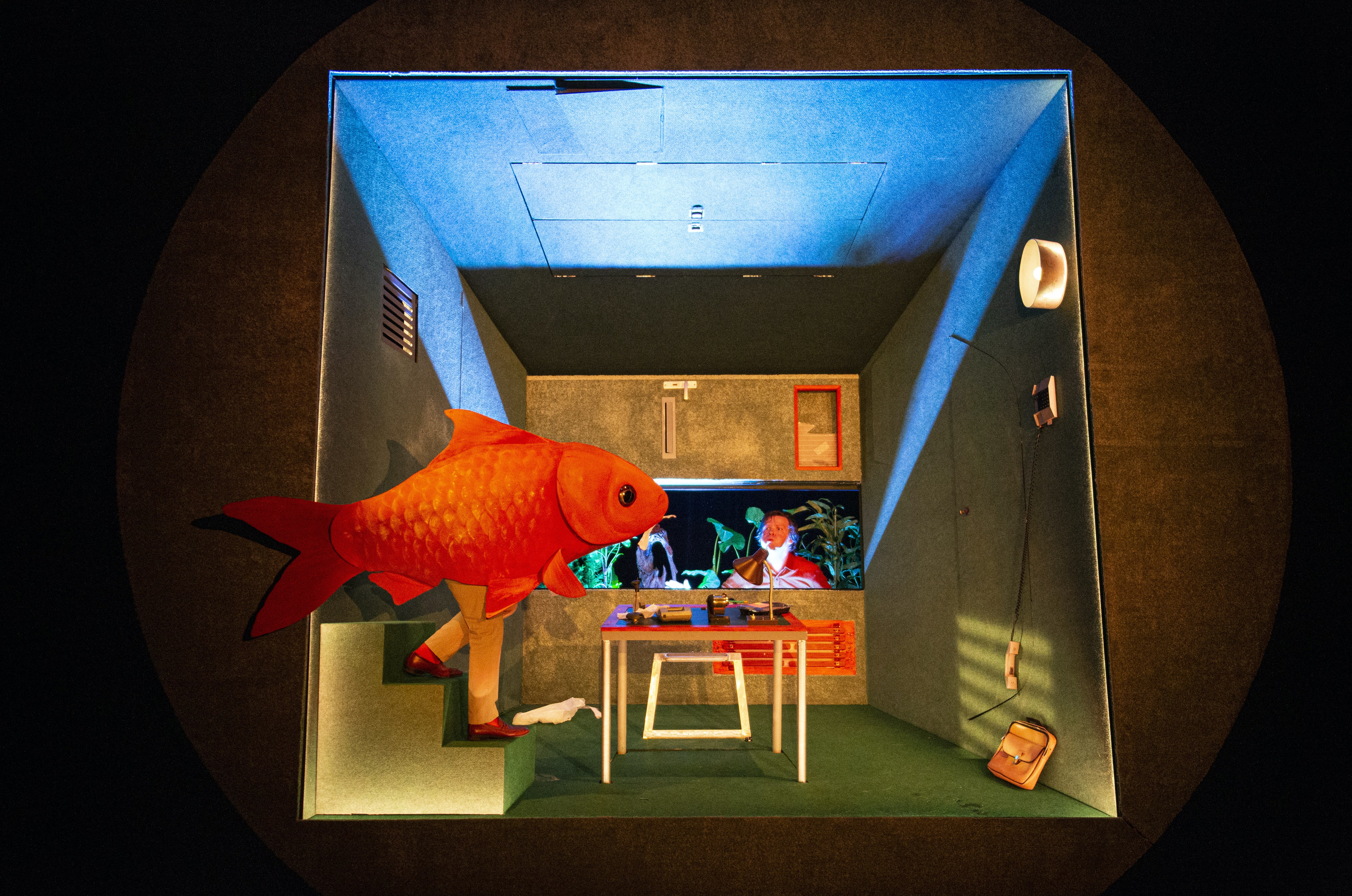 Colour photo. Inside the small house, a giant fish eats the bills that are on the table. The fish is observed by the performer, amazed, trapped inside an aquarium.