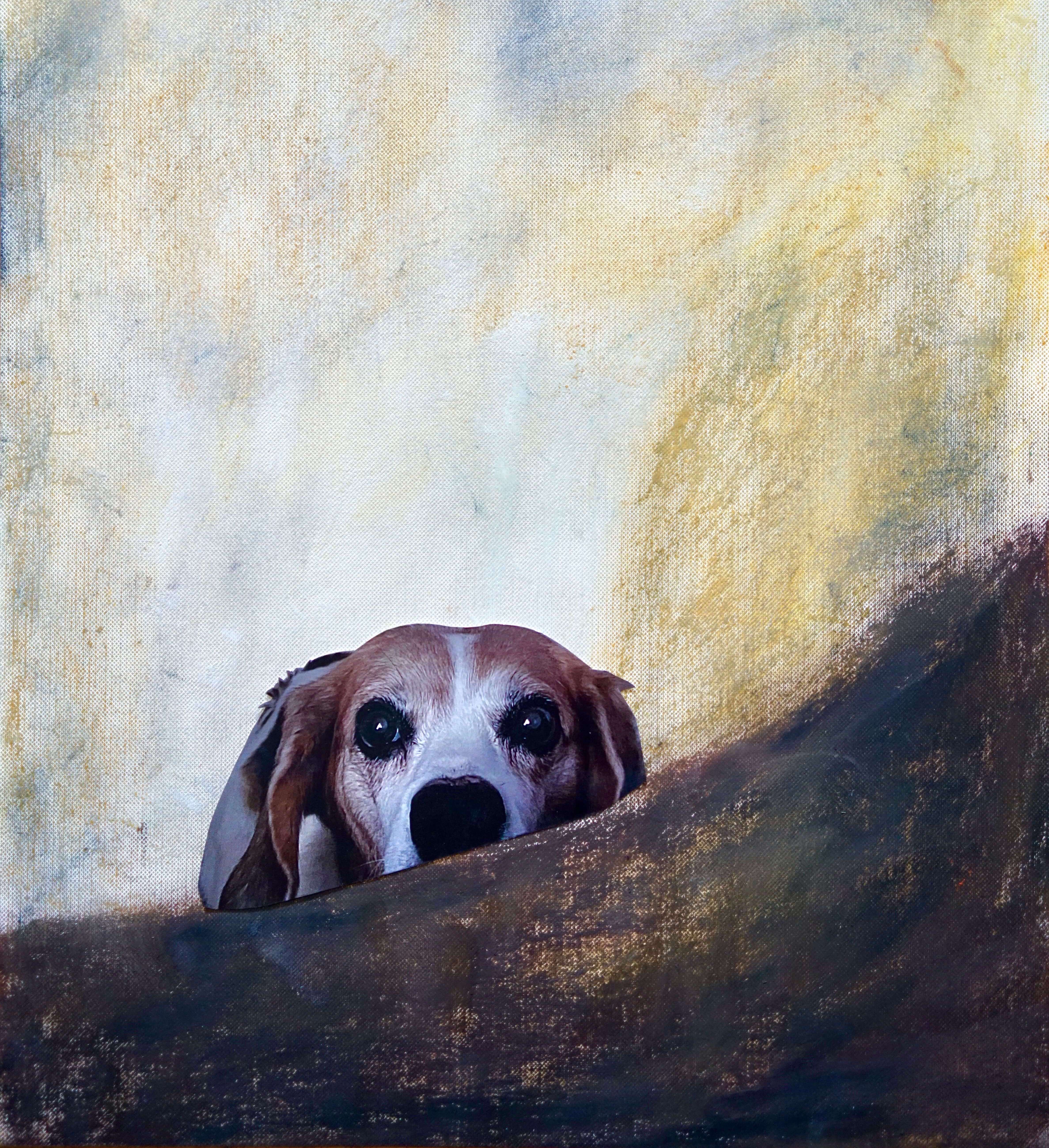 Colagem a cores. Um beagle espreita por detrás de uma superfície rugosa e acastanhada.